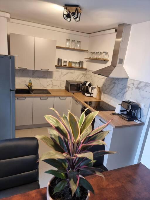 Appartement Vue Mer Avec Parking Gratuit Sur Place Bastia  Exteriér fotografie